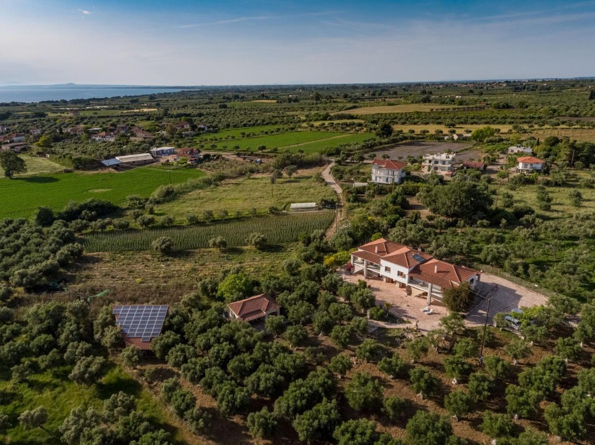 Agios Ilias  Ionianeon Apartments מראה חיצוני תמונה