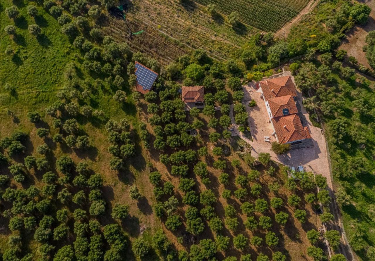 Agios Ilias  Ionianeon Apartments מראה חיצוני תמונה