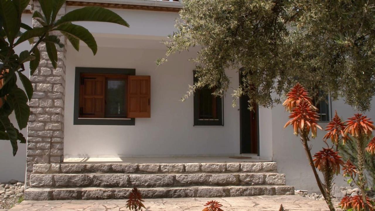 Agios Ilias  Ionianeon Apartments מראה חיצוני תמונה