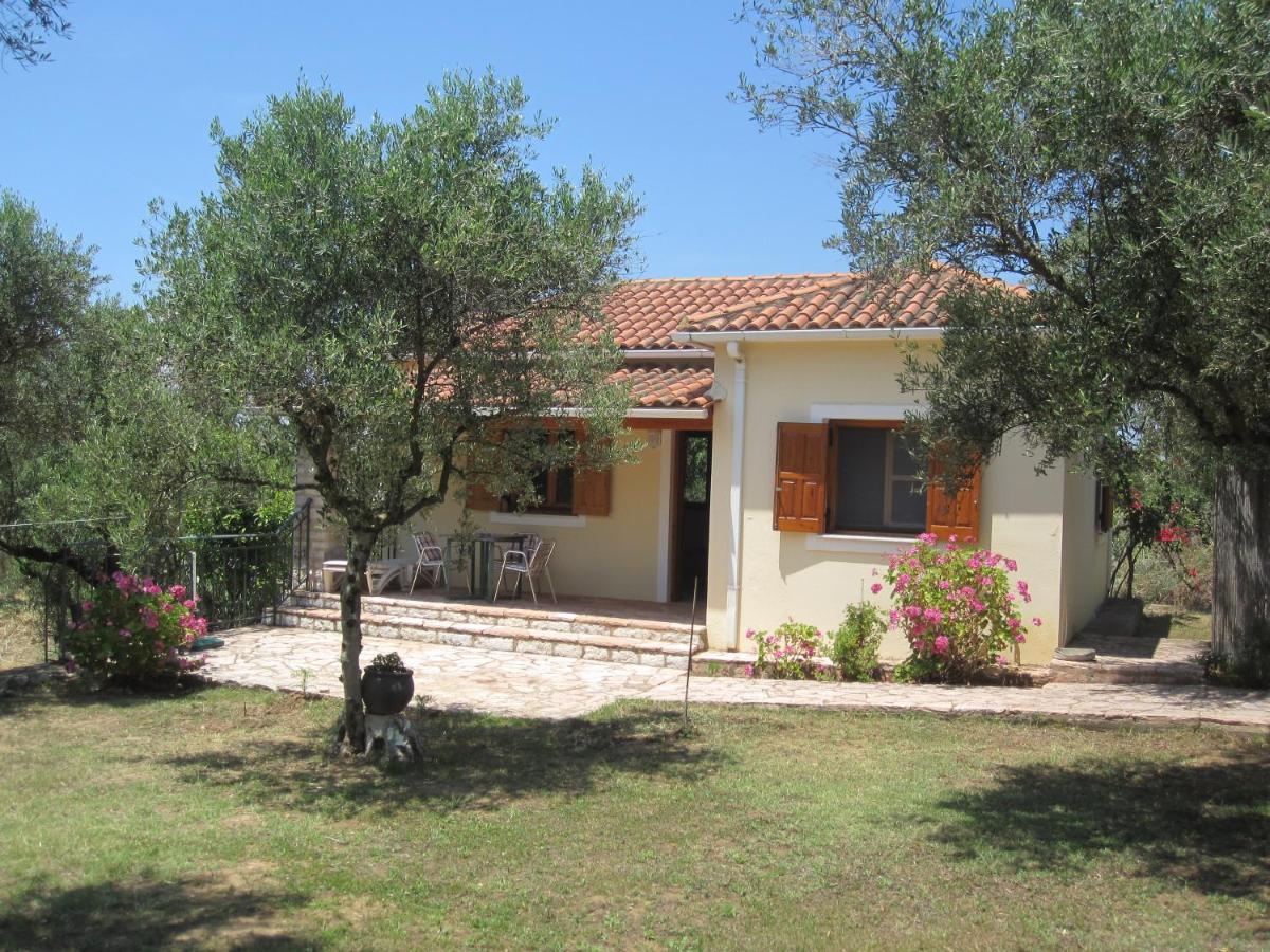 Agios Ilias  Ionianeon Apartments מראה חיצוני תמונה