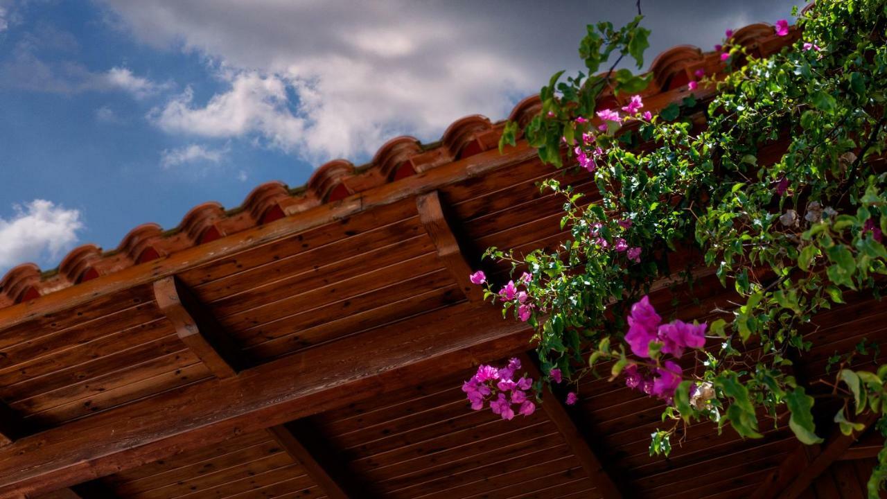 Agios Ilias  Ionianeon Apartments מראה חיצוני תמונה